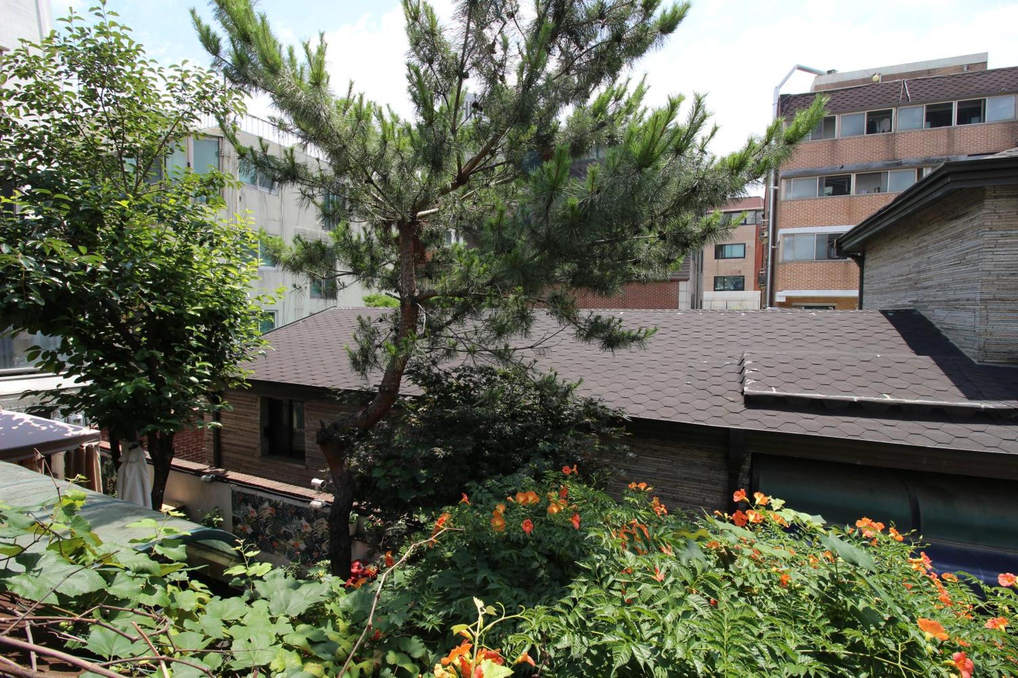Bunk Hongdae Gasthof
